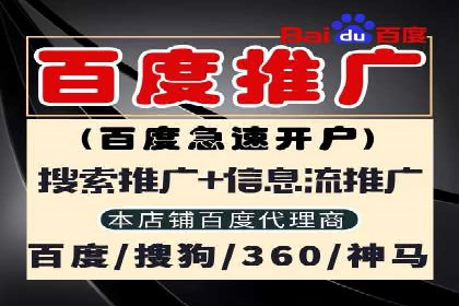 百度竞价推广案例：品牌崛起之路